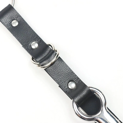 5853 Anal and Collar EverydayUse Hook with Kinky Leash 0905